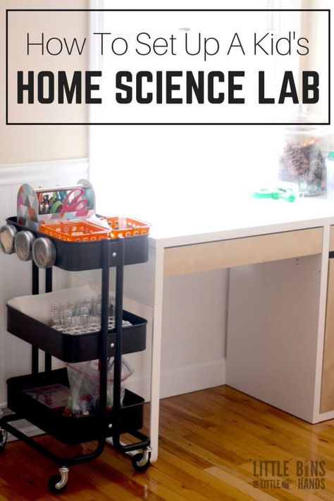 How To Set Up Home Science Lab for Kids Including Activities Home Science Lab, Backyards Landscapes, Kids Science Lab, Science Bedroom, Science Center Preschool, Science Table, Science Experiments Kids Easy, Kids Lab, Lab Science