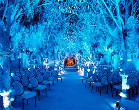 Stunning New York Fall and Winter Weddings — Brenda's Wedding Blog - affordable wedding ideas for planning elegant weddings Frozen Wedding, New York Party, Winter Wedding Venues, Blue Lights, Wedding Themes Winter, Winter Wedding Decorations, Blue Lighting, Cinderella Wedding, Winter Wonderland Wedding