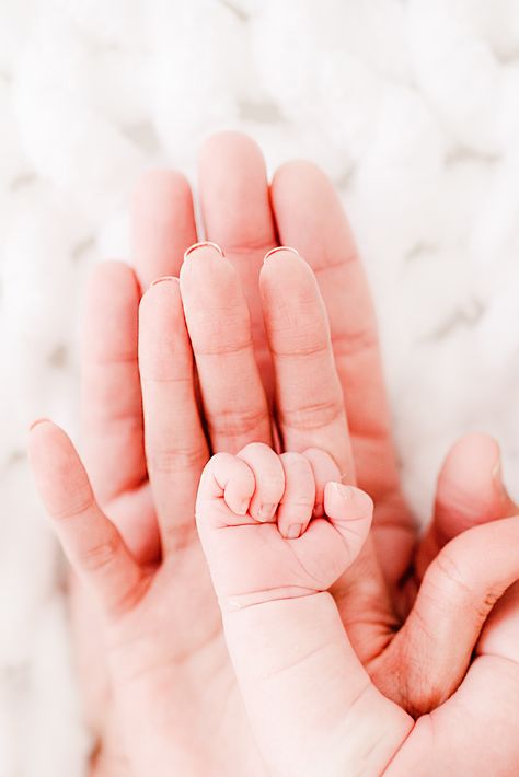 Newborn baby’s hand placed on top of both parents hands. In studio photography session.   #newborn #photography Hand Newborn Photos, Just Born Photography, Hands Newborn Photography, Newborn Pics Without Showing Face, Newborn Hands With Parents, Newborn Photos To Take, Newborn Baby Hand Pic, Parents And Newborn Pictures, Cute Newborn Pictures