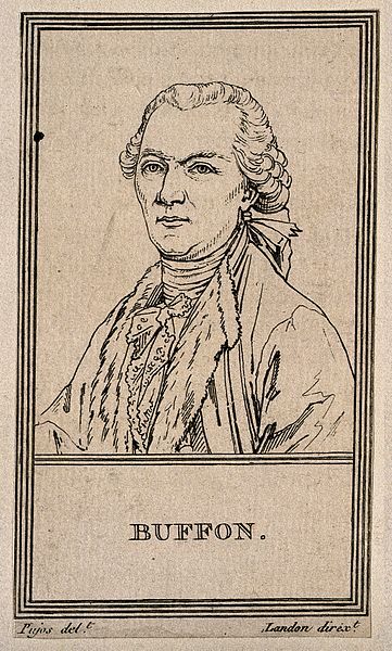 Georges Louis Leclerc, Comte de Buffon. Etching,1805,after A.Pujos.Georges-Louis Leclerc,Comte de Buffon (7 Sept. 1707-16 April 1788) was a French naturalist, mathematician,cosmologist, and encyclopédiste.His works influenced the next two generations of naturalists, including Jean-Baptiste Lamarck and Georges Cuvier.Buffon published thirty-six quarto volumes of his Histoire Naturelle during his lifetime; Georges Cuvier, Jean Baptiste, Etching, Aesthetic Wallpapers, The Next, It Works, Male Sketch, Wallpapers, Quick Saves