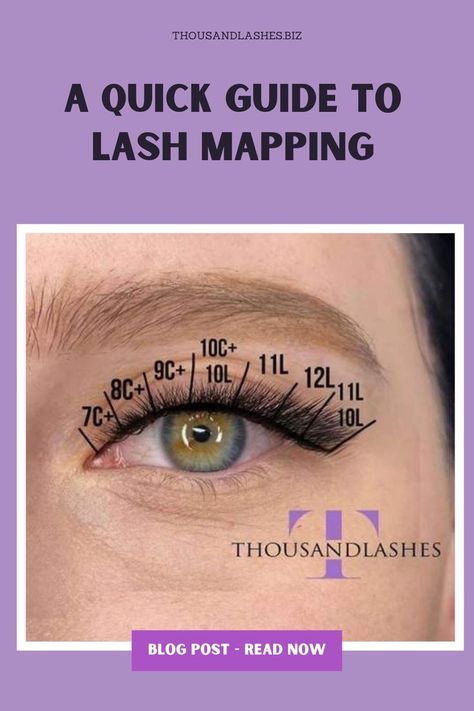 Lash mapping is a form of under-eye pad that is applied to the client's eyes. It aids the lash artist in determining the length of lash extensions to use and creating a lash set that complements the features and eye shape of the client. L Curl Lashes, Lash Retention, Lashes Volume, Lash Mapping, Arch Brows, Lash Products, Velour Lashes, Short Lashes, Lash Extensions Styles