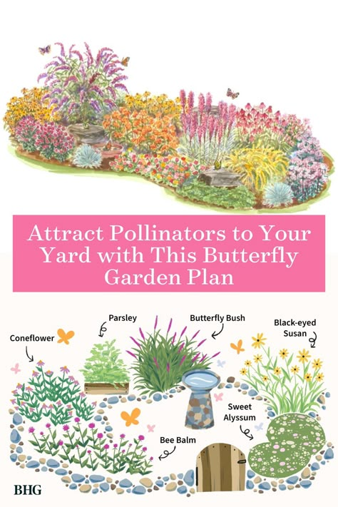 Flower Garden Set Up Ideas, Pollinator Garden Design Ideas, Butterfly Garden Ideas Flower Beds, Butterfly Garden Landscaping, Garden Bed Planting Ideas, Butterfly Flower Garden, Flowers For Butterfly Garden, Small Butterfly Garden Design, Butterfly Garden Flowers