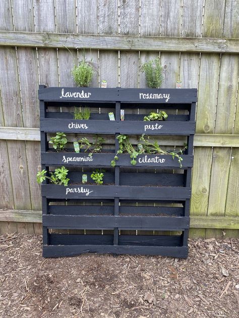 Diy Herb Garden Pallet, Herb Garden From Pallets, Palet Herb Garden Diy, Wood Pallet Herb Garden, Pallet Board Garden Ideas, Garden Herbs Outdoor Planters, Pallet Herb Wall, Pallet Herb Garden Diy How To Build, Pallets Garden Ideas