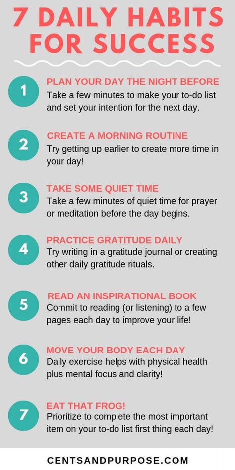 Daily habits and tips to adopt for entrepreneurs to win the day! These success tips will increase productivity, improve time management and help advance your career! #productivity #successtips #timemanagement Karpet Perca, Win The Day, Habits Of Successful People, Success Habits, Mental Training, Planning Your Day, 7 Habits, Time Management Tips, Self Care Activities