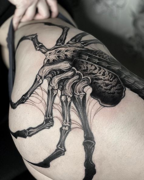 A&M Tattoo | Custom Tt and Art on Instagram: “Facehugger details 🕷⁣⁣⠀ ⁣⁣⠀ Freehand only ✍🏼⁣⁣⠀ _______________⁣⁣⠀ #facehugger #am_tattoo #am_freehand #freehandtattoo #tattooart #alientattoo…” Alien Face Hugger Tattoo, Face Hugger Tattoo, A M Tattoo, Facehugger Tattoo, Alien Tattoo Xenomorph, Gnarly Tattoos, Facehugger Alien, Alien Tattoos, Predator Tattoo