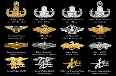 Army Beret, Marine Corps Ranks, Army Divisions, Indian Army Special Forces, Military Awards, Army Ranks, Military Tactics, Military Ranks, Military Drawings