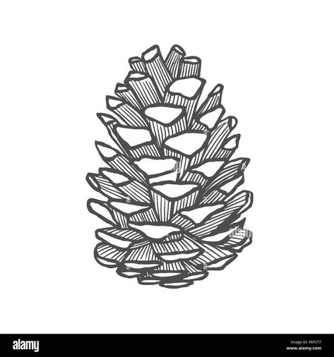 Cone Illustration, Pine Leaf, Lino Cut, New Year Greeting Cards, Tree Illustration, Hand Drawn Vector, Forest Design, Drawing Set, Autumn Forest