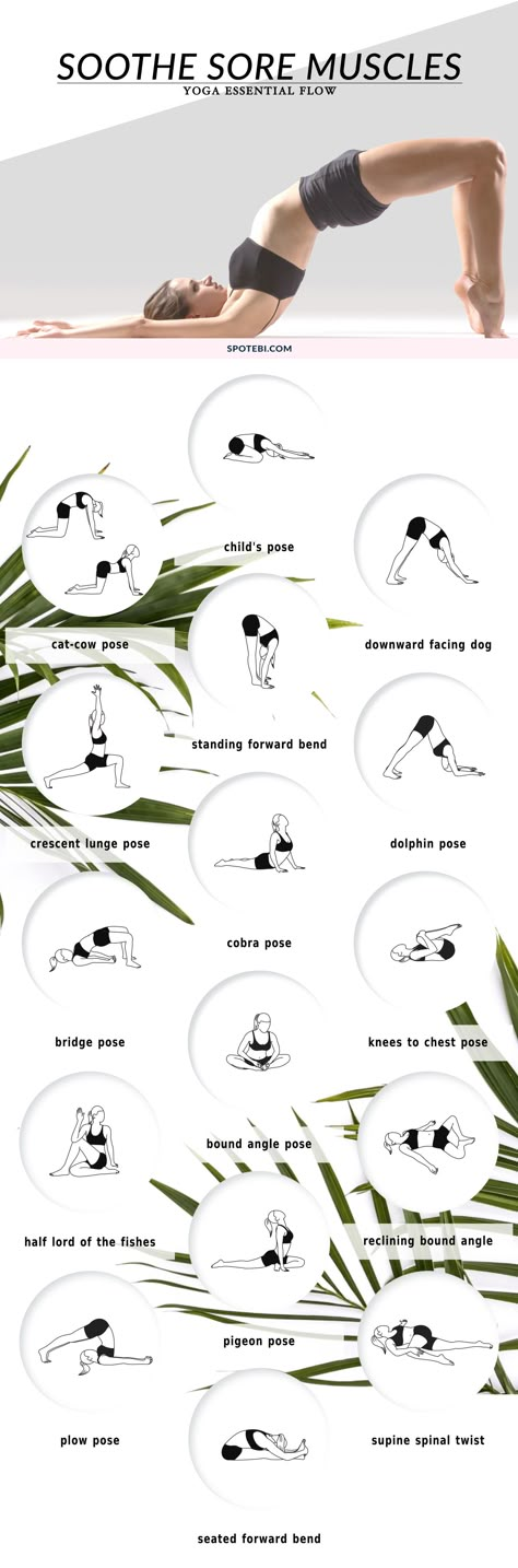 Having sore muscles after an intense workout is very common, especially for… Strengthening Yoga, Yoga Ashtanga, Muscle Abdominal, Yoga Essentials, Yoga Beginners, Sup Yoga, Beginner Yoga, Yoga Posen, Knee Pain Relief