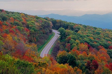 The 20 Best Places to Live in Tennessee Cherohala Skyway, Great River, Scenic Byway, East Tennessee, Surprising Facts, Appalachian Trail, Best Places To Live, Road Trip Fun, Scenic Routes