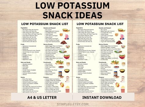 Low Potassium Diet Snack Food List, Snack Ideas for Kidney Disease, Renal Diet, Potassium Meal Plan, Foods Chart Poster, Grocery List PDF by SympleU on Etsy Snack Ideas List, Low Potassium Foods, Snack List, Low Potassium Recipes, Low Potassium Diet, Kidney Friendly Diet, Potassium Foods, Heart Diet, Snacks List