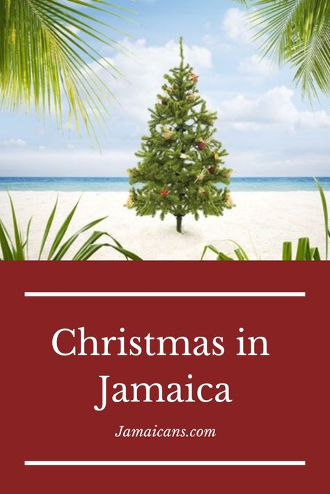 Jamaican Christmas Decorations, Christmas In Jamaica, Jamaican Christmas, Christmas Tree Lighting Ceremony, Caribbean Christmas, Childrens Christmas Crafts, Christian Country, Christmas Articles, International Christmas