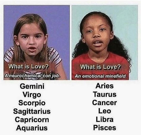 Scorpio Scorpio, Aquarius Truths, Zodiac Signs Chart, Zodiac Funny, Zodiac Signs Sagittarius, Zodiac Signs Pisces, Zodiac Signs Leo, Zodiac Sign Traits, Zodiac Society