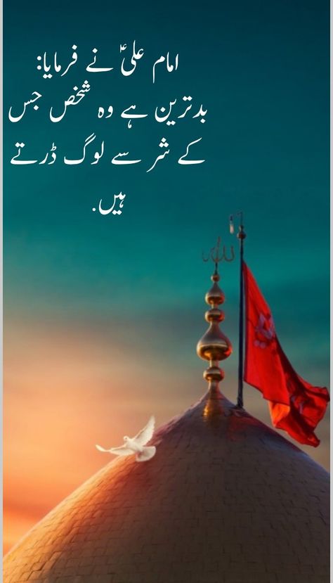 Farman of Imam Ali a.s Mola Ali A.s Quotes, Farman Mola Ali As In Urdu, Islamic Quiz, Moula Ali, Islam Knowledge, Hazrat Ali Quotes, Hazrat Ali Sayings, Imam Hassan, Maula Ali