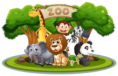 Zoo Cartoon, Zoo Clipart, Cartoon Zoo Animals, Zoo Drawing, Baby Zoo Animals, Preschool Pictures, Zoo Art, Giraffe Pictures, Cartoon Drawings Of Animals