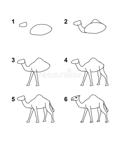 Camel Art For Kids, Camel Drawing For Kids, Camel Drawing Easy, Camel Drawing, Camel Illustration, Camel Craft, Camel Painting, Camels Illustration, Desert Drawing