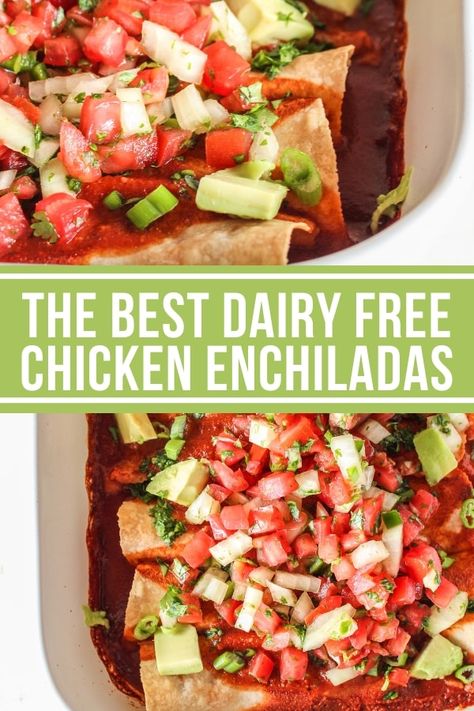 The Best Dairy Free Chicken Enchiladas - The Whole Cook Dairy Free Chicken Enchiladas, Cashew Nacho Cheese, Dairy Free Enchiladas, Homemade Red Sauce, Gfcf Recipes, Df Recipes, Dairy Free Recipes Dinner, Enchilada Ingredients, Dairy Free Dinner