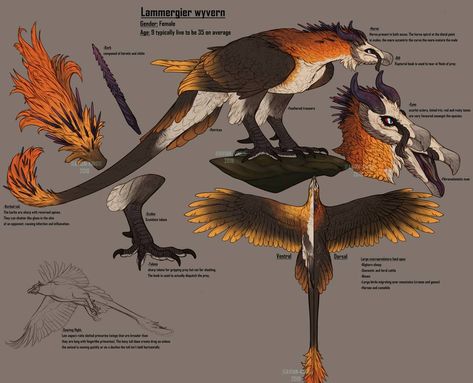 Zoo Ideas, Beast Creature, Drawing Animals, Creature Artwork, Mythical Animal, In The Zoo, Fantasy Beasts, Animal Drawing, Monster Concept Art