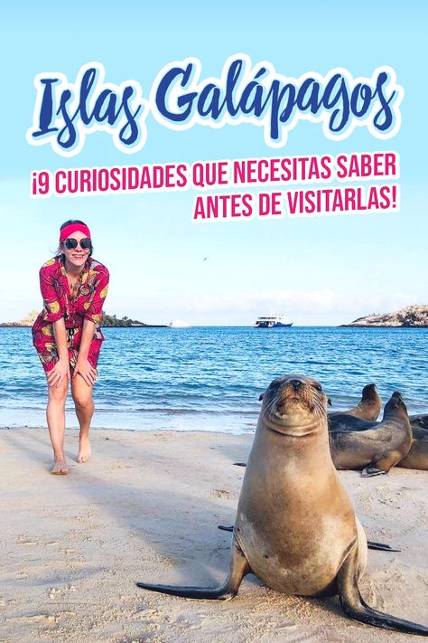 Islas Galápagos | Viajar a las Islas Galápagos | Ecuador | Viajar a Ecuador | Atracciones turístico en Ecuador | Galápagos | Archipiélago de Colón | Archipiélago de Galápagos | Tortugas marinas | Delfines | Tiburones | Tiburones martillo | Ballenas | Arrecifes de coral | Fragatas | Iguanas | Lagartos | Cormoranes | Albatros | Leones marinos | Pingüinos Islas Galapagos Ecuador, Galapagos Islands Travel, Galapagos Ecuador, Ecuador Travel, Galapagos Islands, Ecuador, Travel Inspiration, Cricut, Travel