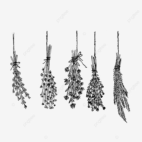 Dried Flower Illustration, Dried Flower Drawing, Dry Bouquet, Flower Bouquet Png, Flower Vector Art, Flower Bouquet Drawing, Wedding Vector Art, Flower Png Images, Bouquet Tattoo