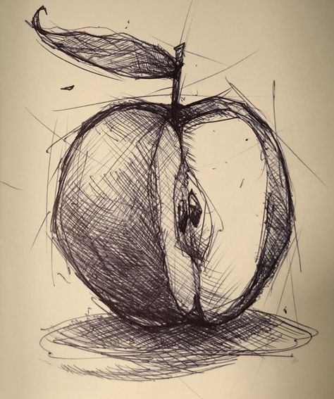 Pencil Hatching Drawing, Stilllife Pencil Shading, Simple Hatching Drawing, Simple Scribble Art, Hatching Shading Pencil Drawings, Apple Shaded Drawing, Cross Shading Drawing, Apple Ink Drawing, Pen Ink Drawing Simple