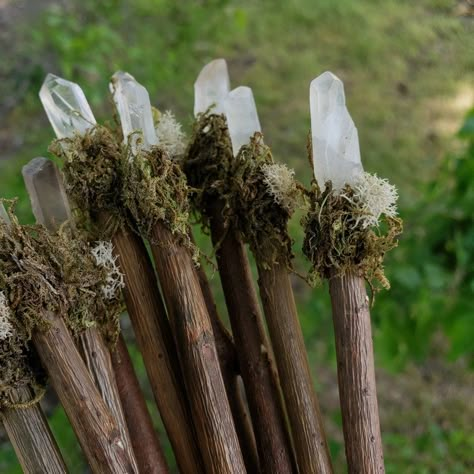 Handmade Crystal Wands: Apple Wood With Smoky or Clear Quartz Witchcraft Cosplay Accessory Prop Preserved Moss - Etsy Crystal Apple, Crystal Wands, Wood Moon, Nature Witch, Witch Wand, Diy Wand, Willow Wood, Healing Wands, Witch Diy