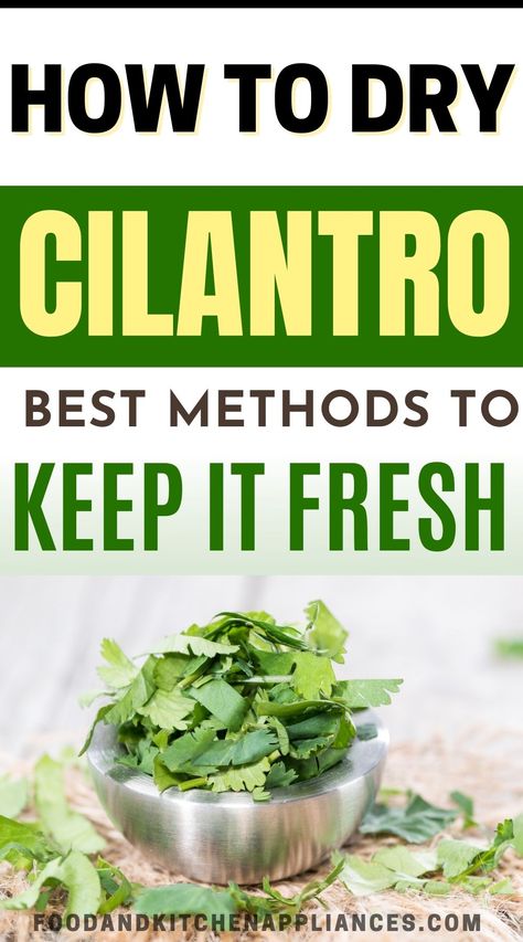 How To Dry Cilantro and store it ? A Step-by-Step Guide - FOODANDKITCHENAPPLIANCES Dry Cilantro, Drying Cilantro, Air Dryer, Dehydration, Food Products, Food Tips, Shelf Life, Cilantro, Food Hacks