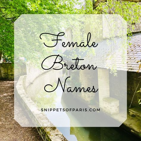 Get the list of the best female names from Brittany, with their strong Celtic, Gallois and Breton traditions. Celtic Names Female, Celtic Names, Celtic Name, Gaelic Names, Celtic Words, Eleanor Of Aquitaine, Language Families, Germanic Tribes, Celtic Culture