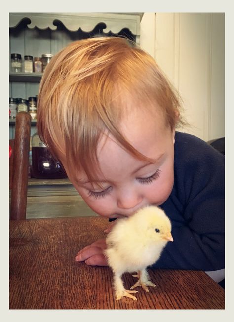 Little boy with Faverolles chick Chicken Boy, God's Mercy, Gods Mercy, New Every Morning, Mind Body Soul, Birthday Photos, Baby Birthday, Country Life, Farm Life