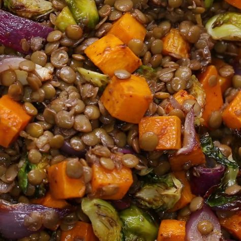 Lentil & Roasted Vegetable Salad Recipe by Tasty Microwave Cakes, Lunches Recipes, Veggie Tots, Vegan Lunch Recipe, Veg Salad, Roasted Vegetable Salad, Vegetable Salad Recipes, Lunch Prep, Salad Recipes Video