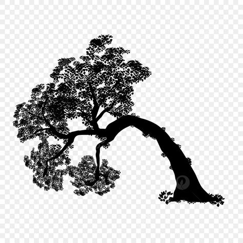 Tree Black And White, Drawing Trees, Black And White Silhouette, Crooked Tree, Background Winter, Branch Vector, Silhouette Drawing, Palm Tree Silhouette, Leaf Silhouette