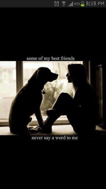 Dog Quotes Love, 21st Quotes, Eric Northman, Dog Rules, Must Love Dogs, Vet Tech, Memes Humor, About Dogs, Animal Quotes