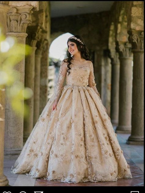 Quinceanera Poses, Quince Photos, Quinceanera Picture Ideas, Quinceañera Photoshoot Ideas, Debut Theme, Princess Shot, Princess Photo Shoot, Quince Pictures, Debut Dresses