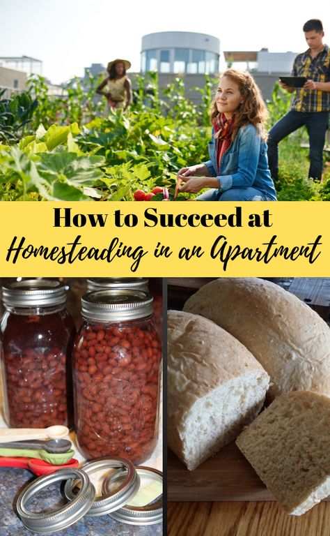 How to Be Self-Sufficient in an Apartment Homemaking In An Apartment, Homestead In An Apartment, Apartment Homestead, Homesteading In An Apartment, Apartment Homesteading, Apartment Gardening, Homestead Apartment, Amish White Bread, Self Sufficient