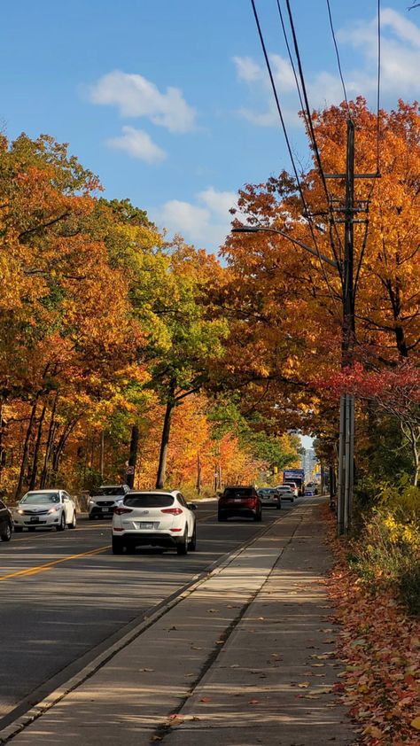 Canada Landscape Photography, Canada Nature Photography, Canada Aethstetic, Canada Fall Aesthetic, Canada Lifestyle Aesthetic, Canada Vibes Aesthetic, Life In Canada Aesthetic, Canada Life Aesthetic, Travel Aesthetic Canada