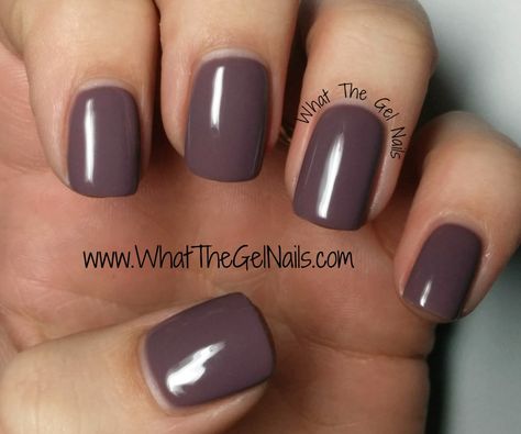 IBD Smokey Plum, plus more IBD Just Gel Colors. Stars Nails, Sns Nails Colors, Plum Nails, Brown Nail, Gel Colors, Sns Nails, Fall Gel Nails, Gel Nail Colors, Colorful Nail Designs