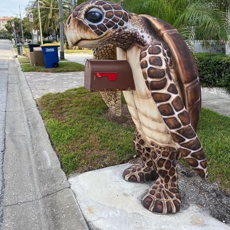 Coastal Mailbox, Beach Mailbox, Funny Mailboxes, Cool Mailboxes, Mailbox Makeover, Diy Mailbox, Unique Mailboxes, Mailbox Design, Beach Theme Bathroom