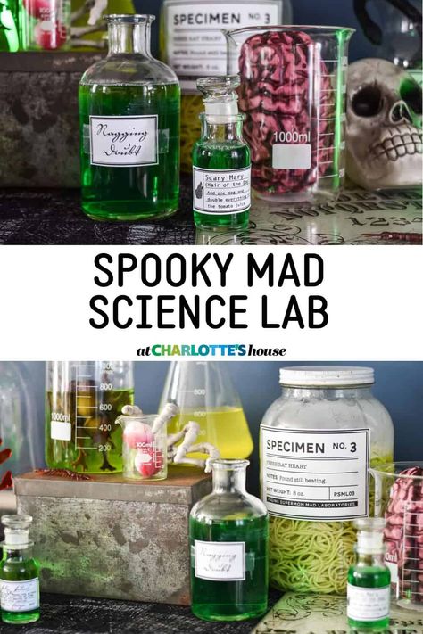 A spooky mad science lab is a fun Halloween decoration that you can make with simple household items and thrift store containers! See how easy it is to make these Halloween speciman jars. #halloweendecor #specimenjar #spookysciencelab #madsciencelab Spooky Science Lab, Mad Science Lab, Creepy Halloween Decorations Diy, Specimen Jars, Science Lab Decorations, Science Party Decorations, Spooky Science, Mad Scientist Halloween, Lab Decor