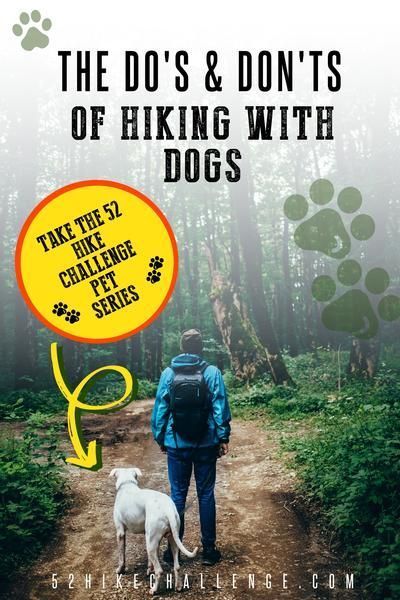 Hiking With Dogs Packing List, Hiking With Dogs Quotes, Backpacking With Dogs, Dogs In Nature, Hiking With Dog, Hiking Recipes, Dog Hiking Gear, Hiking 101, Dog Packing List