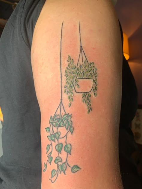 Hanging plants with color Hang Tattoo Women, Tiny Potted Plant Tattoo, Simplistic Plant Tattoo, Tattoos Of Plants, Trailing Plant Tattoo, Plant In A Pot Tattoo, Planter Tattoo, Hang In There Tattoo, Plant Neck Tattoo