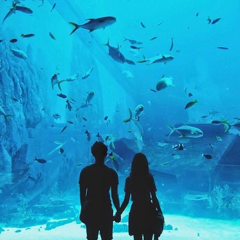 Aquarium Drawing, Aquarium Date, Aquarium Pictures, Cute Date, The Love Club, Ulzzang Couple, Couple Photo, Couple Drawings, This Is Love