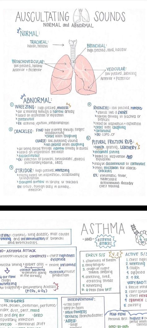 Respiratory Study Notes, Nclex Hacks, Respiratory Anatomy, Paramedic Study, Nursing Hacks, Med Notes, Emt Study, Paramedic School, Medical Notes