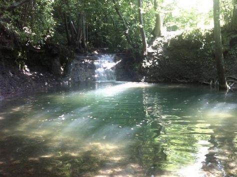 Green Algae, Nature Aesthetic, Pretty Places, Green Aesthetic, Mother Earth, Pretty Pictures, Cottage Core, Mother Nature, My Aesthetic