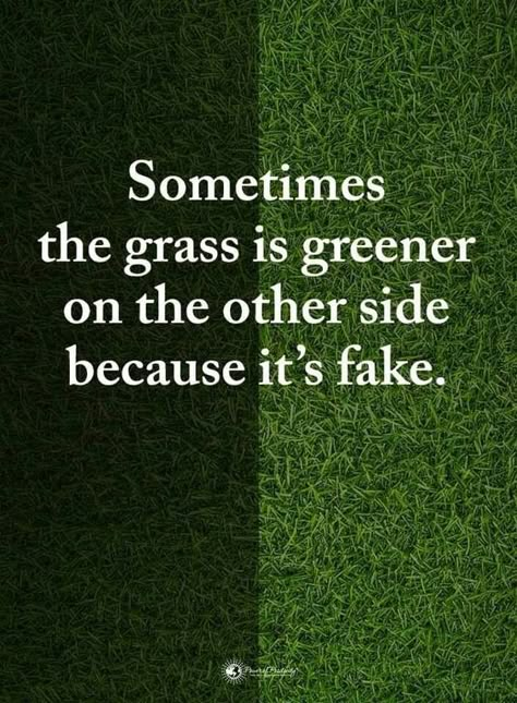 Grass Is Greener, Brave Quotes, Deep Thinking, Thinking Quotes, Motivational Quotes For Life, Quotable Quotes, Amazing Quotes, The Grass, Wise Quotes