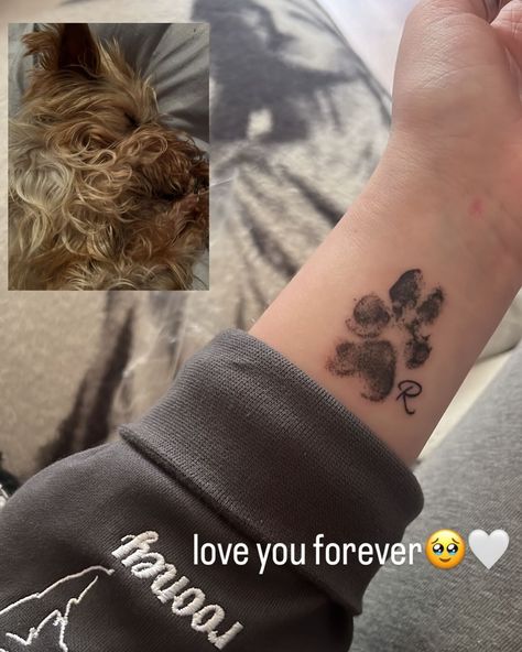 The cutest paw print for Beth thanks so much for coming in girl😙✌️ . . (Facing towards her upon Beth’s request) . . #pawprinttattoo #dogtattoo #dogmemorial #memorialtattoo #tattoo #happiness #tattooing #artwork #digitalart Tattoo Ideas Paw Print, Pup Tattoos, Paw Print Tattoo Dog, Cat Paw Print Tattoo, Tattoo Dog, Cat Paw Print, Memorial Tattoo, Sunflower Tattoo, Dog Tattoo