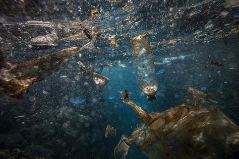 Nets, Plastic, Underwater Crime – How To Stop Ocean Pollution Stop Plastic Pollution, Native American Ancestry, Fish Activities, Marine Pollution, Dangerous Roads, Ocean Pollution, Sustainable Supply Chain, Marine Environment, Ocean Fishing