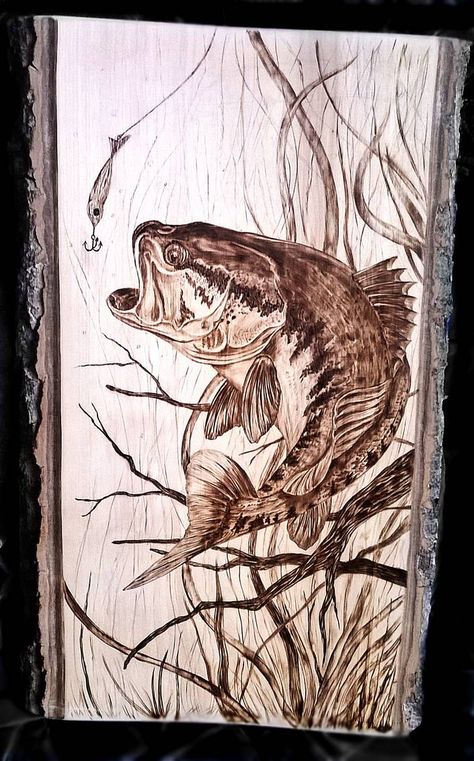 bass fish pyrography woodburning by Art-Caren on DeviantArt Beginner Wood Burning, Tre Kunst, Wood Burning Tips, Wood Burning Patterns Stencil, Wood Burning Stencils, Wood Burning Techniques, Wood Burn Designs, Pyrography Patterns, Wood Burning Tool