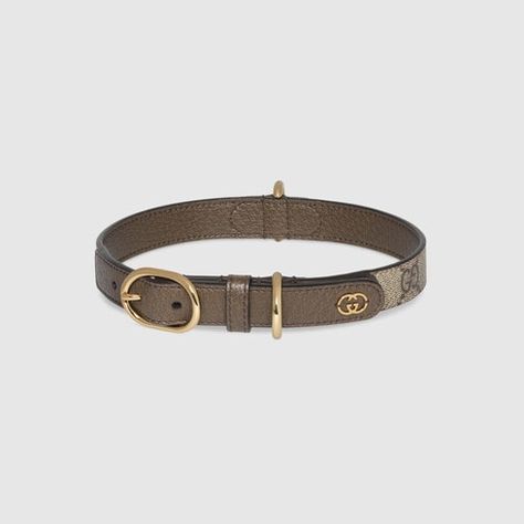 Gucci Dog Collar, Gucci Pet, Collar For Cats, Digital Gifts, For Cats, Dog Accessories, Pet Collars, Dog Collar, Gift Wrapping