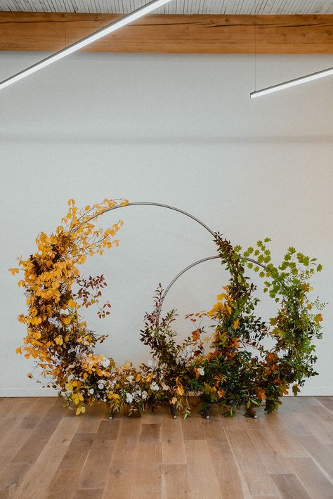 Fall Wedding Arbor, Fall Photo Booth, Arches Wedding, Bougainvillea Wedding, Classic Fall Wedding, Arch Inspiration, Pumpkin Patch Photoshoot, Wedding Arches Outdoors, Wedding Arbors