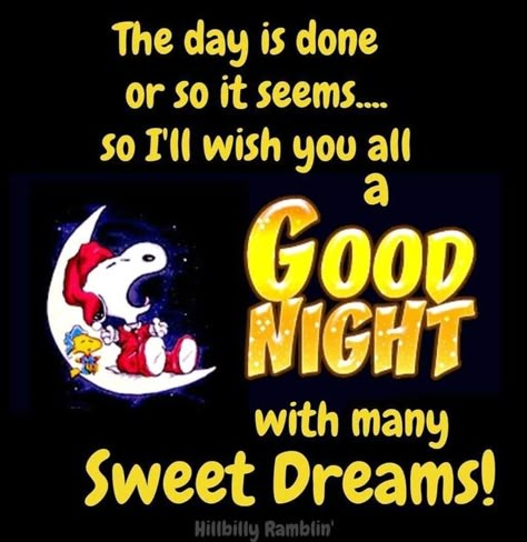 Snoopy Blessings, Prayer For Night, Night Time Quotes, Goodnight Snoopy, Good Night Blessings Quotes, Sleeping Puppy, Beautiful Good Night Quotes, Good Night Beautiful, Good Night Love Messages