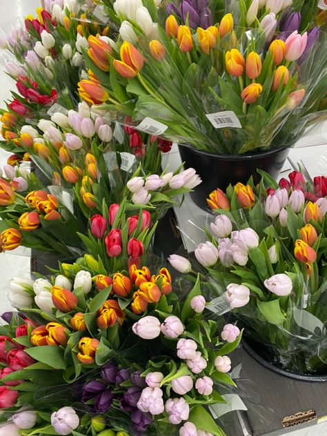 I love looking at the flowers in the local grocery stores! So pretty! #flowers #tulips #spring Tulip Fever, Grocery Store Flowers, Tulips Spring, Flowers Tulips, Grocery Stores, Love Languages, The Flowers, Pretty Flowers, Grocery Store